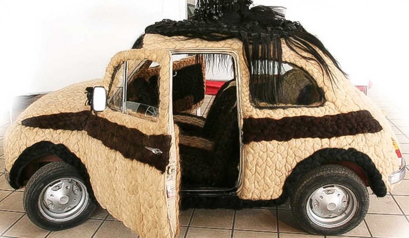Now you can bid on the car with more hair in the world