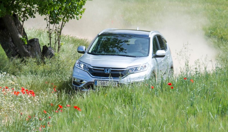 Test: Honda CR-V 1.6 i-DTEC 160 ch, 4 roues motrices espèces protégées
